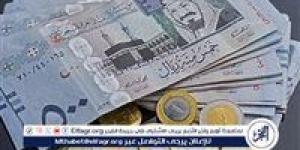 استقرار سعر الريال السعودي اليوم السبت 9 نوفمبر 2024 مقابل الجنيه المصري في البنوك - نبأ العرب