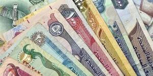 سعر الدرهم الإماراتي في البنوك وشركات الصرافة اليوم الأحد 10 نوفمبر 2024 - نبأ العرب