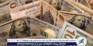 سعر الدولار مقابل الجنيه المصري وسط عوامل اقتصادية مؤثرة - تحديث الأحد 10 نوفمبر 2024 - نبأ العرب