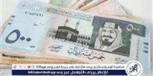 استقرار سعر الريال السعودي أمام الجنيه المصري في تعاملات الأحد 10 نوفمبر 2024 - نبأ العرب