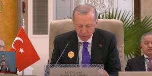 أردوغان: حكومة نتنياهو تعمل على التصعيد ولا تسمح بإيصال المساعدات - نبأ العرب