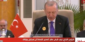 أردوغان: إسرائيل تعمل على إلغاء حل الدولتين ومنع عودة الفلسطينيين لبلدهم - نبأ العرب