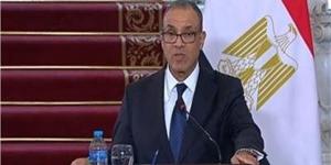 وزير الخارجية: "السوق المصرية مفتوحة، ويوجد بها بيئة مواتية للاستثمار - نبأ العرب