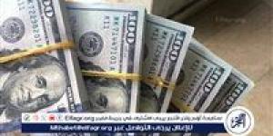 استقرار سعر الدولار أمام الجنيه المصري اليوم 15 نوفمبر 2024 - نبأ العرب