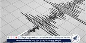 زلزال بقوة 4.9 ريختر يضرب تركيا - نبأ العرب