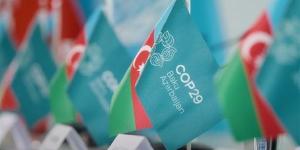 جهود مصر لمواجهة آثار تغير المناخ بمؤتمر "cop29" بأذربيجان (فيديو) - نبأ العرب