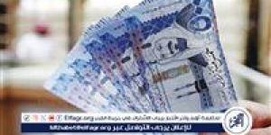 استقرار سعر الريال السعودي أمام الجنيه المصري اليوم السبت - نبأ العرب