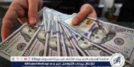 استقرار سعر الدولار أمام الجنيه المصري في بداية تعاملات اليوم: 15 نوفمبر 2024 - نبأ العرب