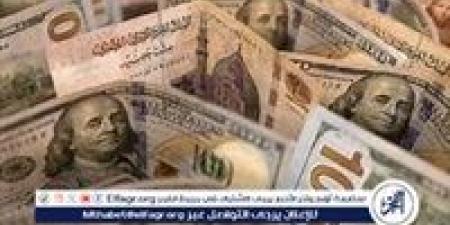 استقرار سعر الدولار مقابل الجنيه المصري اليوم السبت 16 نوفمبر 2024 - نبأ العرب