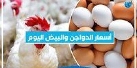 أسعار الدواجن اليوم السبت 16-11-2024 في الدقهلية - نبأ العرب