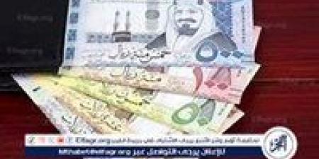 سعر الريال السعودي اليوم السبت 16 نوفمبر 2024 مقابل الجنيه المصري - نبأ العرب