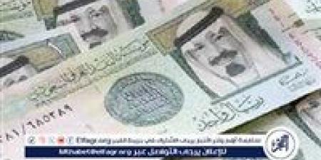 استقرار سعر الريال السعودي أمام الجنيه المصري اليوم السبت 16 نوفمبر 2024 - نبأ العرب