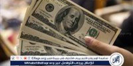 استقرار سعر الدولار أمام الجنيه المصري اليوم الأحد 17 نوفمبر 2024 - نبأ العرب