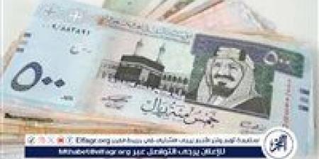 استقرار سعر الريال السعودي أمام الجنيه المصري اليوم الإثنين 18 نوفمبر 2024 - نبأ العرب