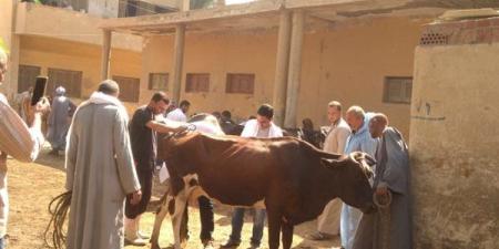 بالأرقام.. "الزراعة" تكشف نتائج عمل القوافل البيطرية المجانية بـ4 محافظات - نبأ العرب