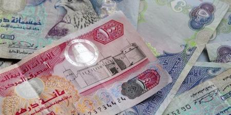 سعر الدرهم الإماراتي مقابل الجنيه المصري اليوم الجمعة 22 نوفمبر 2024 - نبأ العرب