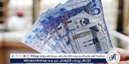 استقرار سعر الريال السعودي أمام الجنيه المصري اليوم السبت - نبأ العرب