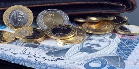 سعر الريال السعودى اليوم الأحد 24 نوفمبر 2024 فى مصر مقابل الجنيه المصرى - نبأ العرب