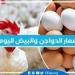 أسعار الدواجن اليوم السبت 16-11-2024 في الدقهلية - نبأ العرب