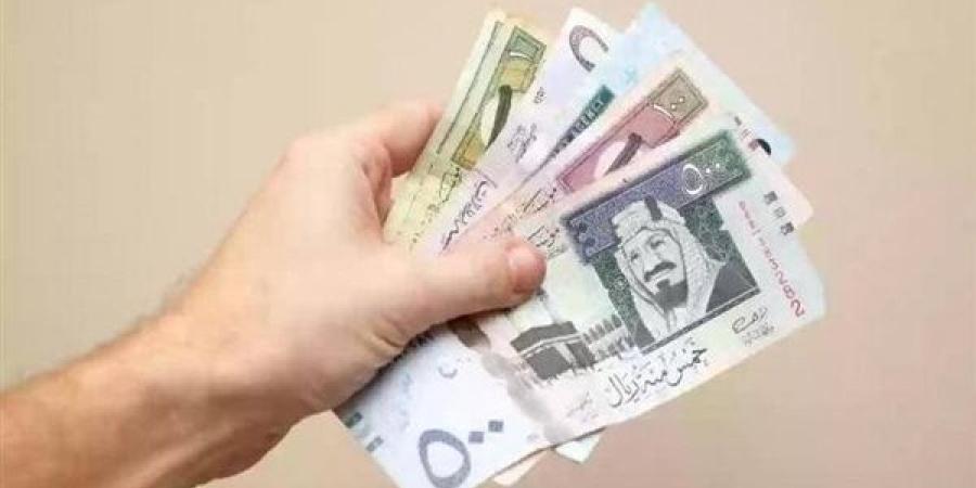 سعر الريال السعودي مقابل الجنيه السوداني اليوم 8/11/2024 - نبأ العرب