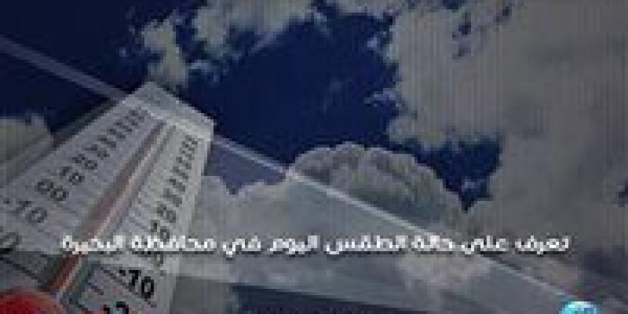 حالة الطقس اليوم السبت 9-11-2024 في محافظة البحيرة - نبأ العرب