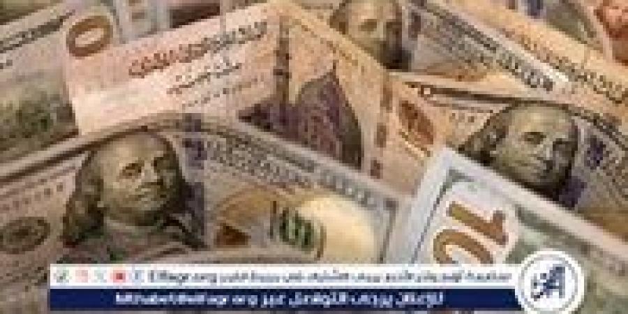 استقرار سعر الدولار أمام الجنيه المصري اليوم السبت 9 نوفمبر 2024.. الأسباب والتوقعات - نبأ العرب