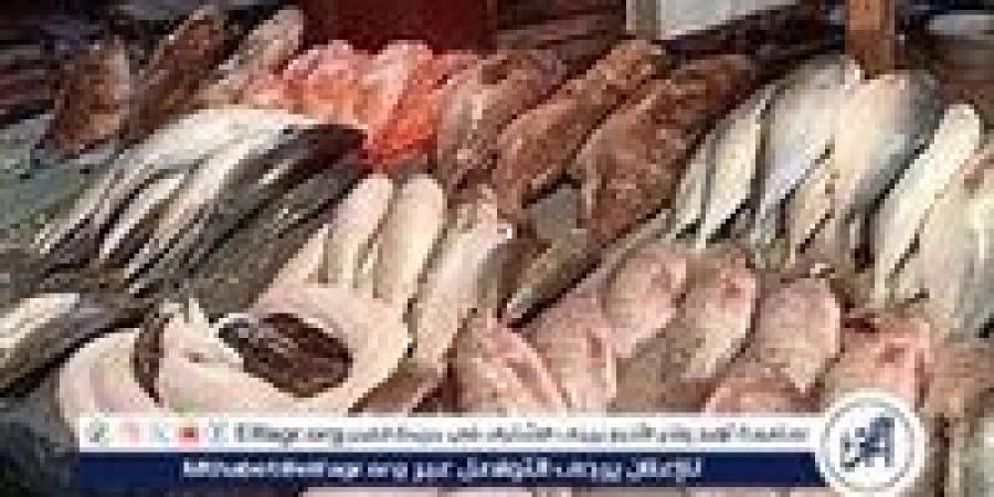 أسعار السمك اليوم 10-11-2024 في الدقهلية - نبأ العرب