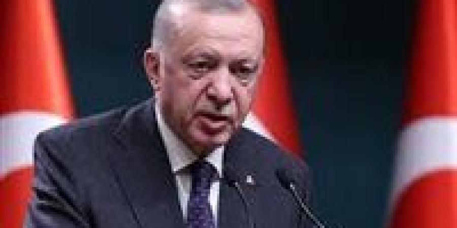 أردوغان: إسرائيل تهدف لإلغاء حل الدولتين وتدمير الوجود الفلسطيني - نبأ العرب