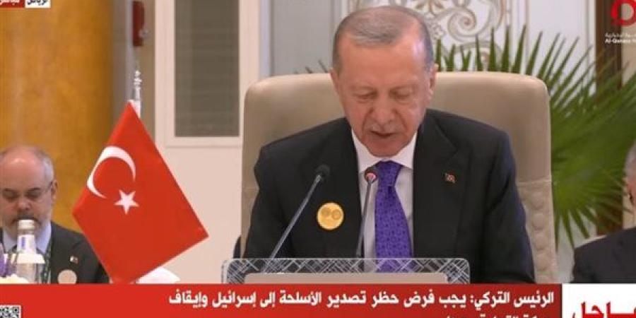 أردوغان: إسرائيل تعمل على إلغاء حل الدولتين ومنع عودة الفلسطينيين لبلدهم - نبأ العرب