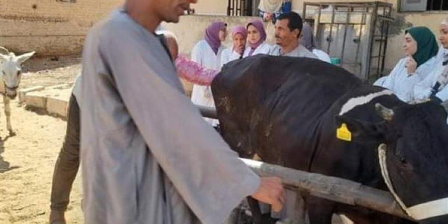 تعرف على أنشطة وجهود مديريات الزراعة والطب البيطري خلال أسبوع - نبأ العرب