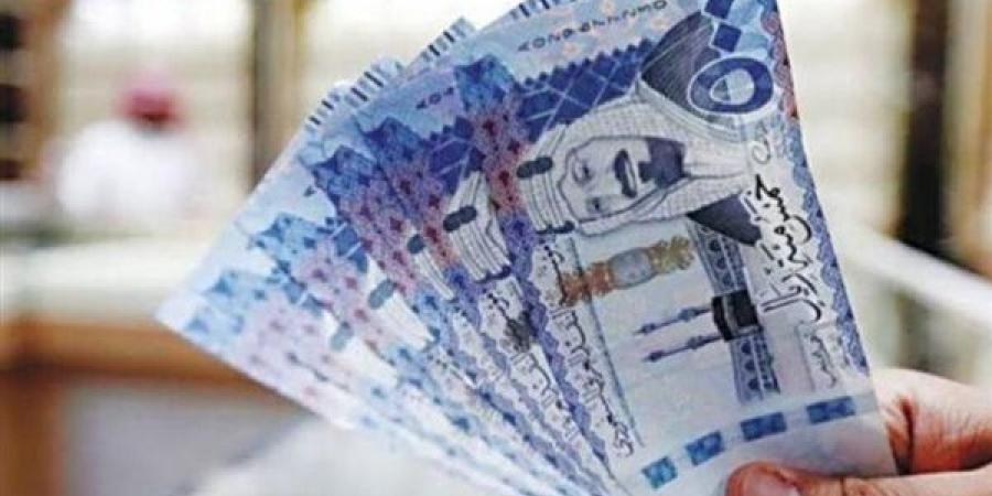 تعرف على سعر الريال السعودي اليوم في مصر - نبأ العرب