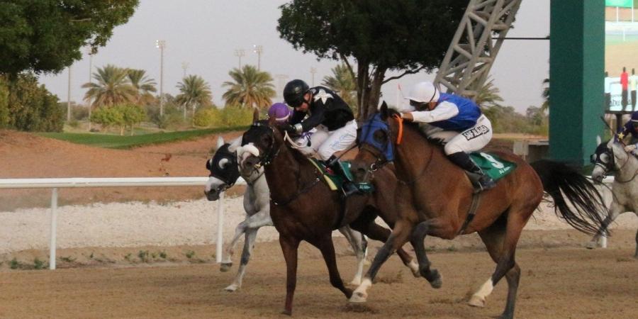 7 أشواط في ثاني سباقات مضمار العين - نبأ العرب