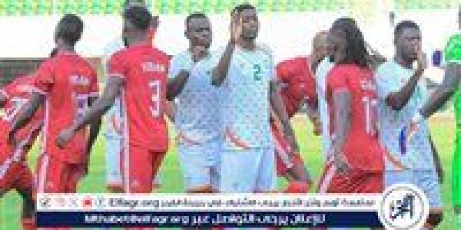 منتخب النيجر يقسو على السودان برباعية في تصفيات كأس الأمم الأفريقية - نبأ العرب