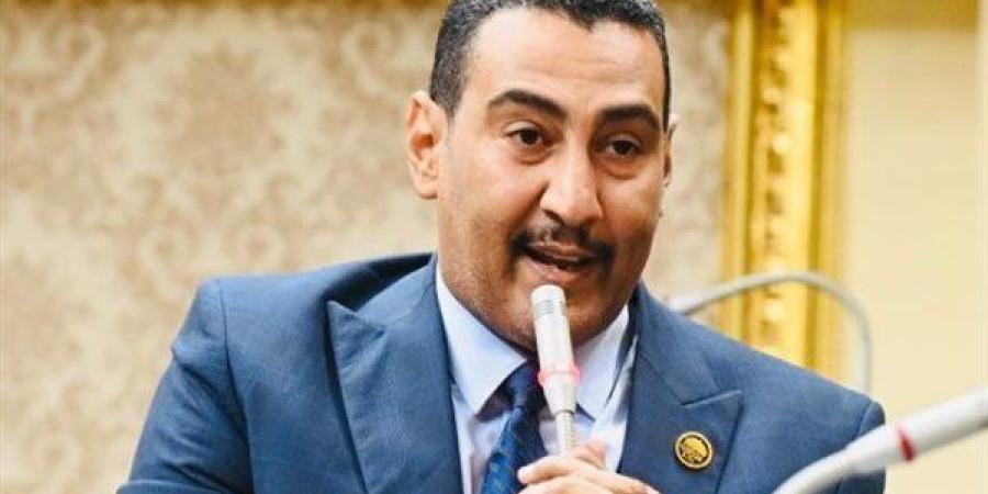 برلماني: عودة شركة النصر للسيارات إنجاز ضخم يضاف لسجل الإنجازات في عهد السيسي - نبأ العرب