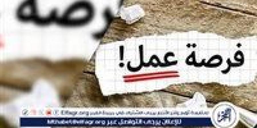 وزارة العمل تُعلن عن 3088 فرصة عمل جديدة برواتب مجزية في 8 محافظات - نبأ العرب