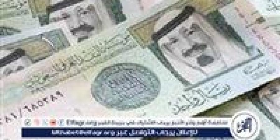 استقرار سعر الريال السعودي أمام الجنيه المصري اليوم السبت 16 نوفمبر 2024 - نبأ العرب