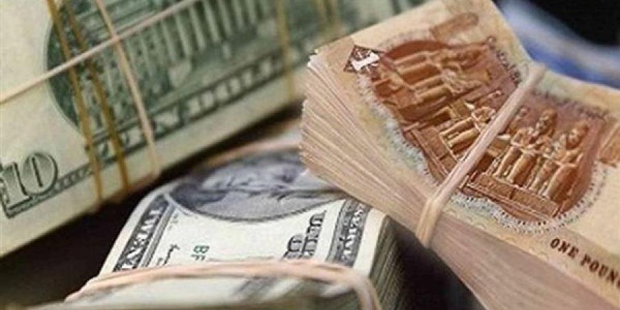 سعر الدولار الآن في شركات الصرافة والبنوك بمصر - نبأ العرب