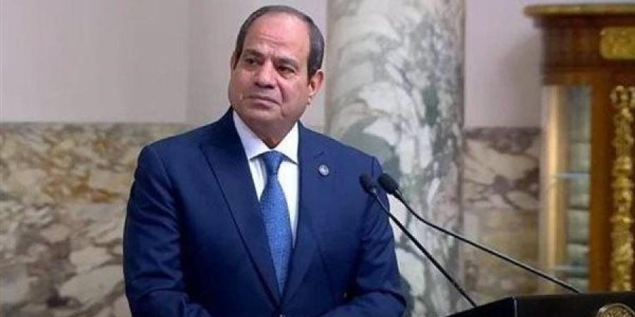 الرئيس السيسي: نجدد دعوتنا لتدشين مركز عالمي لتخزين وتوزيع الحبوب على أرض مصر - نبأ العرب