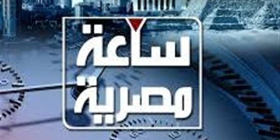 "ساعة مصرية".. برنامج جديد على قناة النيل للأخبار قريبًا - نبأ العرب