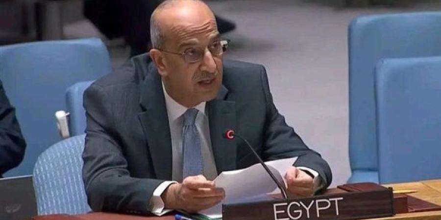 فى جلسة مجلس الأمن.. مصر تدعو الطرفين الفلسطينى والإسرائيلى للعودة إلى المفاوضات - نبأ العرب