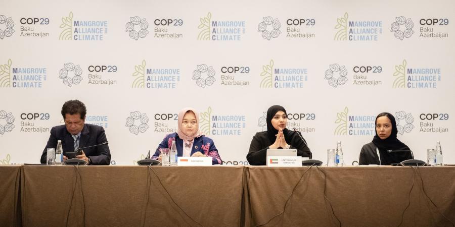 الإمارات تكشف عن استراتيجية 2031 لتحالف القرم من أجل المناخ في COP29 - نبأ العرب