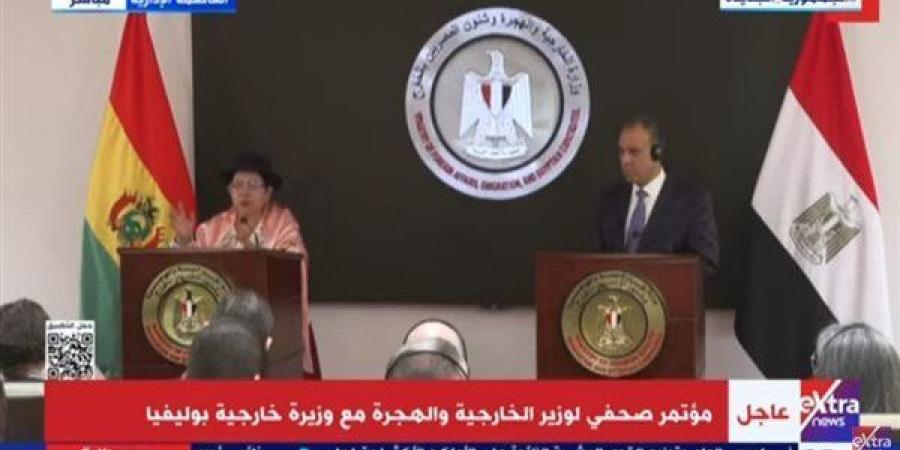 وزير الخارجية: التوسع فى تصنيع السيارات الكهربائية بالتعاون مع بوليفيا - نبأ العرب