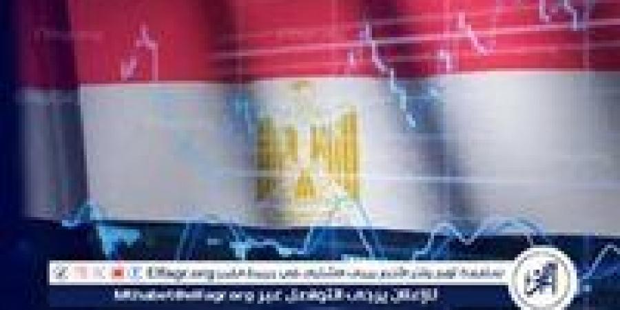 خبير: تخارج الدولة من المشروعات محسوب وبهدف - نبأ العرب